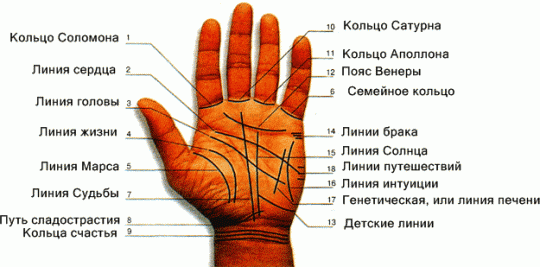 Линия жизни хиромантия с разъяснениями и фото подробно