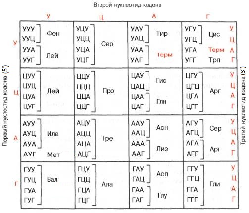 2 генетический код его свойства
